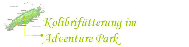 Kolibrifütterung im Adventure Park