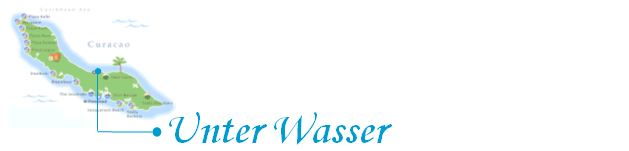 Unter Wasser