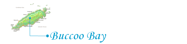 Buccoo Bay