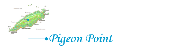 Pigeon Point
