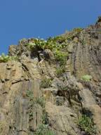 Cinque Terre (Miniatur)